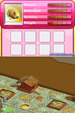 Image n° 3 - screenshots : My Own Pet Shelter